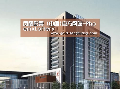 凤凰彩票案例展示四