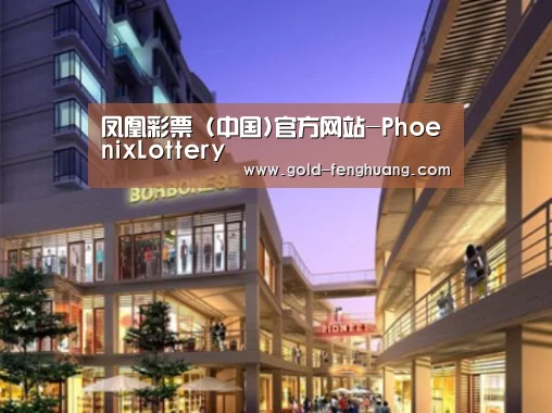 凤凰彩票案例展示一